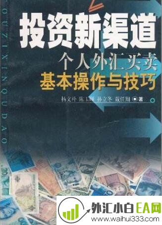 《投资新渠道：个人外汇买卖基本操作与技巧》炒外汇书籍下载！