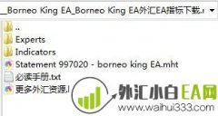 Borneo King EA加码策略型外汇EA下载
                