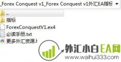 Forex Conquest v1外汇EA加码及对锁策略型下载
                