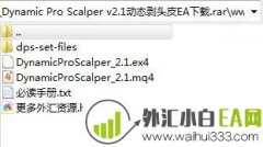 Dynamic Pro Scalper v2.1动态剥头皮EA下载
                