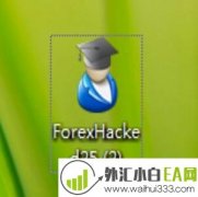 Forex Hacked v2.5对冲加码外汇EA下载
                