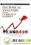 《外汇市场技术分析:市场波动心理中获利》书籍