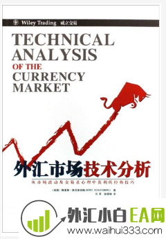 《外汇市场技术分析:市场波动心理中获利》书籍下载