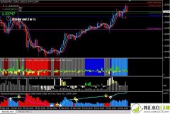 赚钱王外汇交易系统MT4指标分析模板下载
                