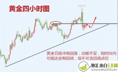 12.20黄金冲高回调,黄金原油走势分析帮解套